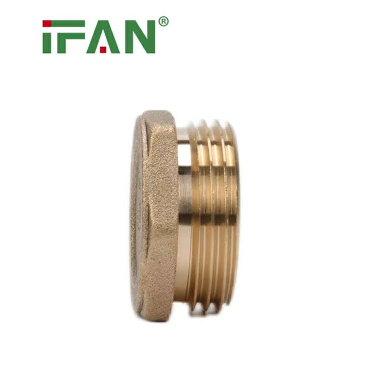 IFAN vario jungiamosios detalės vyriškas kištukas